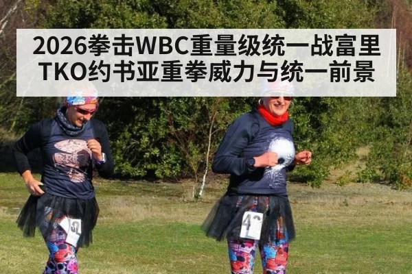 2026拳击WBC重量级统一战富里TKO约书亚重拳威力与统一前景